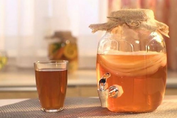 Как хранить чайный гриб при длительном отсутствии дома