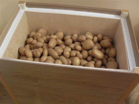 Хранение картофеля на зиму в домашних условиях