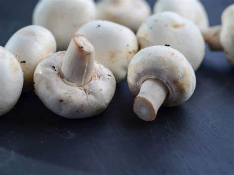 Сколько можно хранить замороженные грибы в морозильной камере