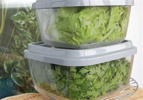 Как хранить зелень в холодильнике долго свежей без заморозки
