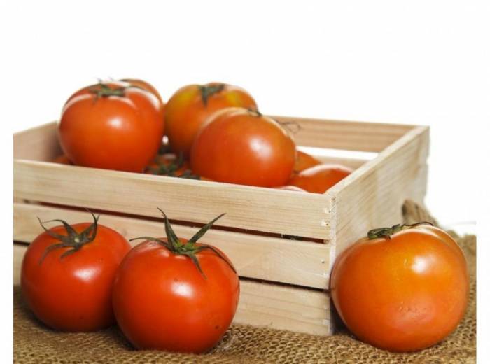 Как хранить помидоры в холодильнике и в комнате