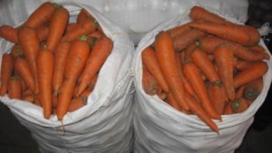 Как хранить морковь правильно в домашних условиях