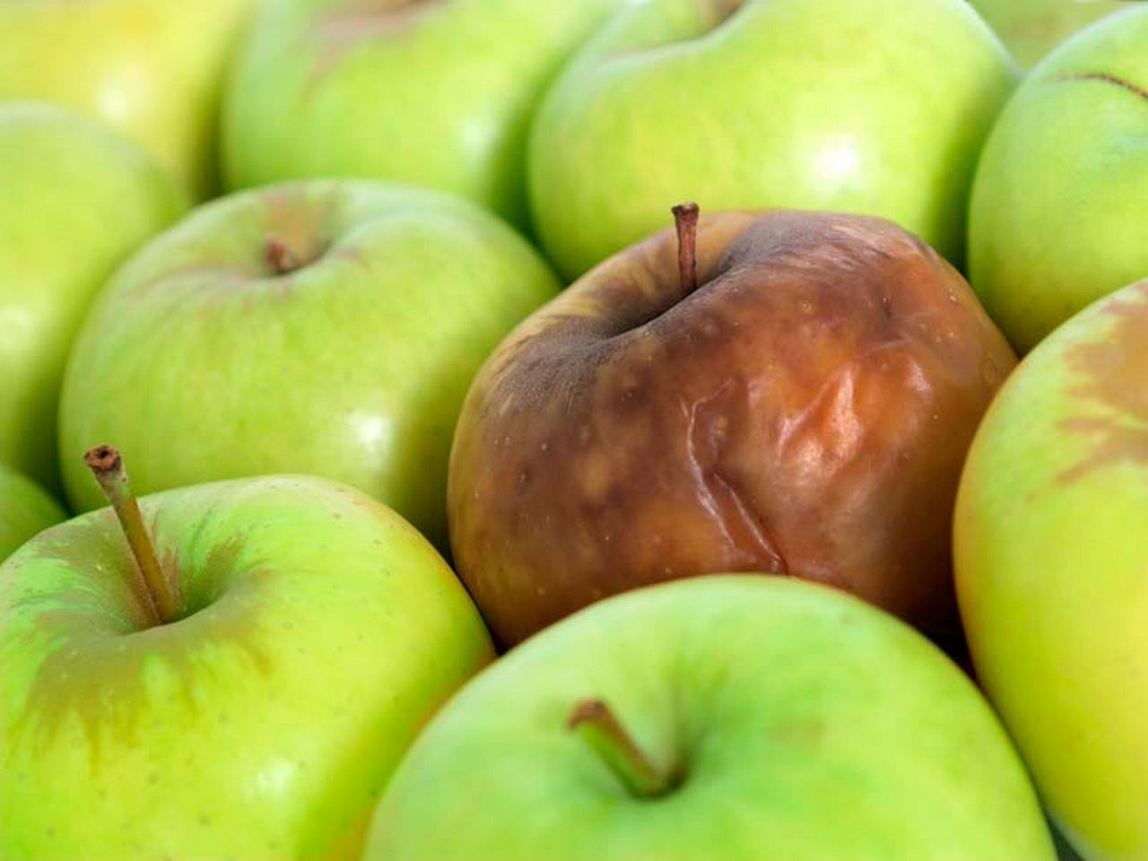 Как хранить яблоки в домашних условиях на зиму