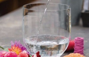 Как сохранить розы в вазе с водой подольше